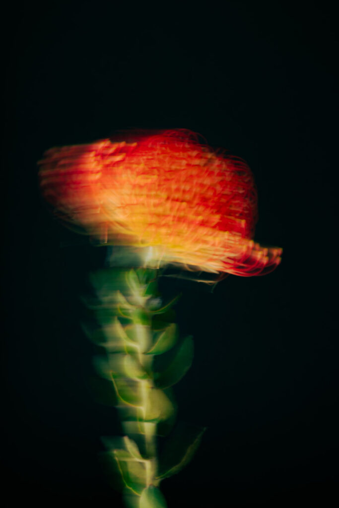 Adjacent post image 3