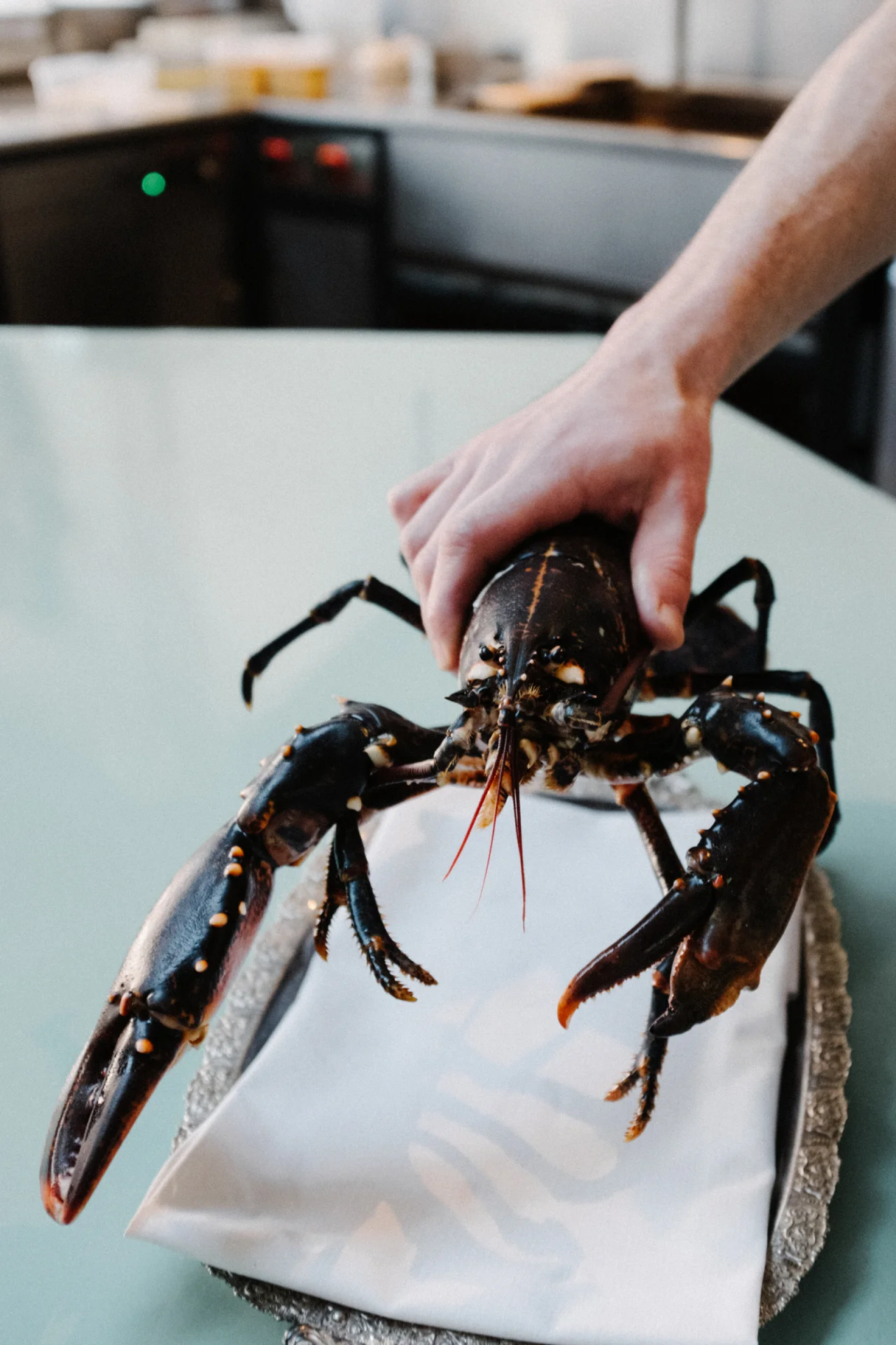 20250307_EUROPA_EUROPIZZA_LR-4430